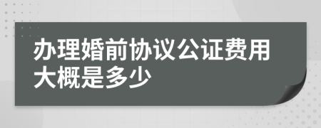 办理婚前协议公证费用大概是多少