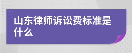 山东律师诉讼费标准是什么