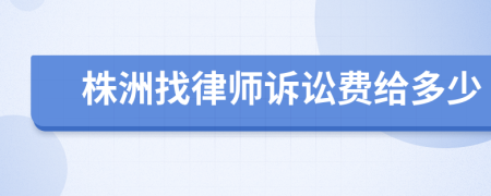 株洲找律师诉讼费给多少