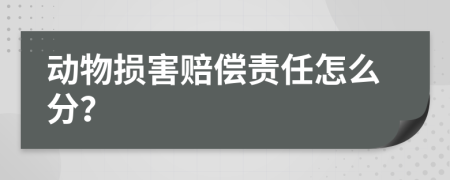 动物损害赔偿责任怎么分？