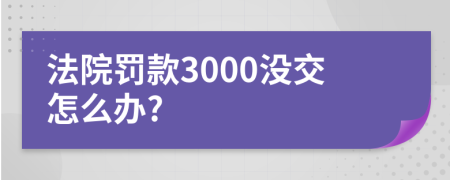 法院罚款3000没交怎么办?