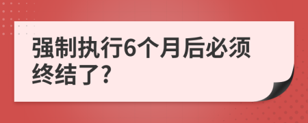 强制执行6个月后必须终结了?