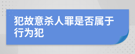 犯故意杀人罪是否属于行为犯