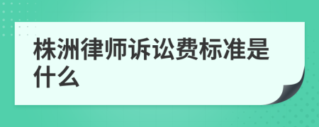 株洲律师诉讼费标准是什么