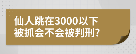 仙人跳在3000以下被抓会不会被判刑?