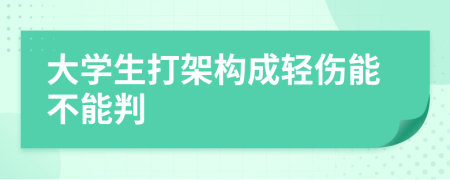 大学生打架构成轻伤能不能判