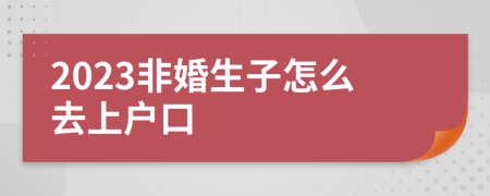 2023非婚生子怎么去上户口