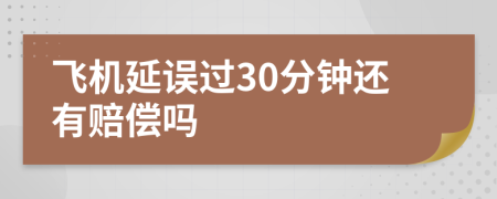 飞机延误过30分钟还有赔偿吗