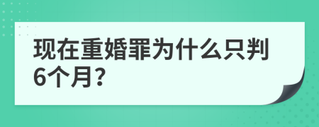 现在重婚罪为什么只判6个月？