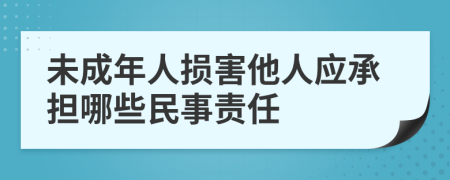 未成年人损害他人应承担哪些民事责任