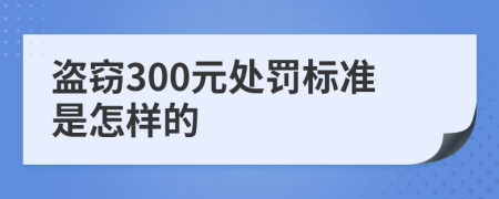 盗窃300元处罚标准是怎样的