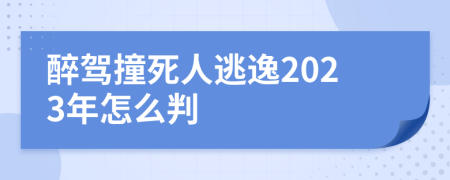 醉驾撞死人逃逸2023年怎么判