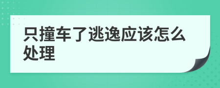 只撞车了逃逸应该怎么处理