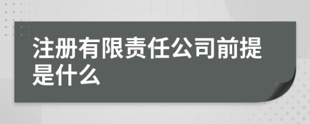 注册有限责任公司前提是什么