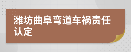 潍坊曲阜弯道车祸责任认定