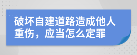 破坏自建道路造成他人重伤，应当怎么定罪