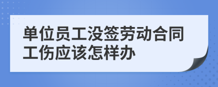 单位员工没签劳动合同工伤应该怎样办