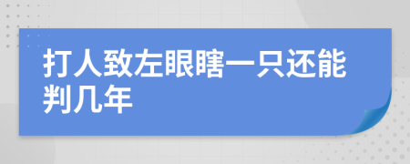 打人致左眼瞎一只还能判几年