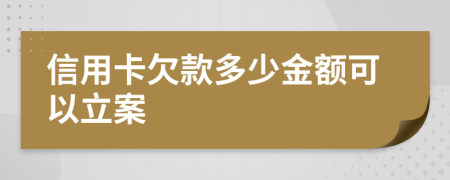 信用卡欠款多少金额可以立案