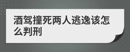 酒驾撞死两人逃逸该怎么判刑