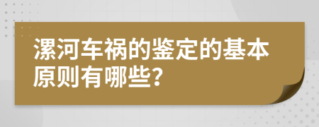 漯河车祸的鉴定的基本原则有哪些？