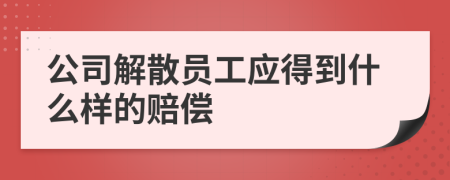 公司解散员工应得到什么样的赔偿