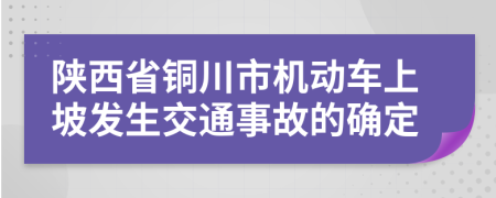 陕西省铜川市机动车上坡发生交通事故的确定