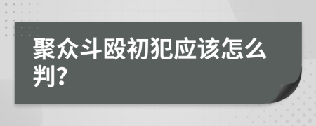 聚众斗殴初犯应该怎么判？