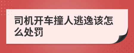 司机开车撞人逃逸该怎么处罚