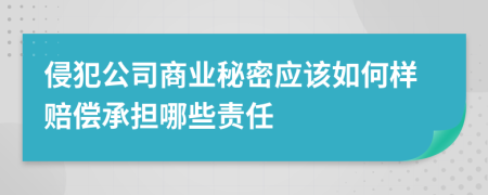 侵犯公司商业秘密应该如何样赔偿承担哪些责任