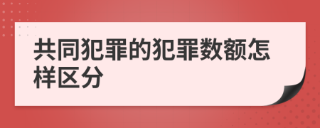 共同犯罪的犯罪数额怎样区分