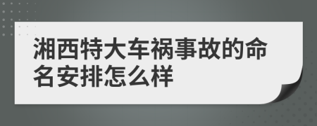 湘西特大车祸事故的命名安排怎么样