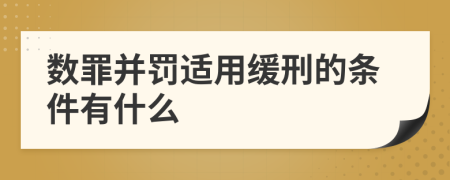 数罪并罚适用缓刑的条件有什么