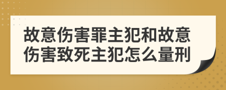故意伤害罪主犯和故意伤害致死主犯怎么量刑