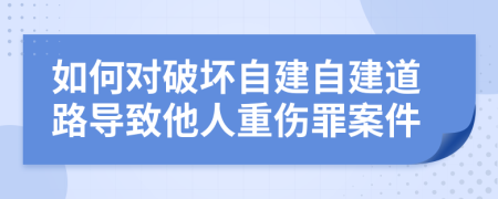 如何对破坏自建自建道路导致他人重伤罪案件