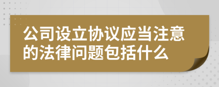 公司设立协议应当注意的法律问题包括什么