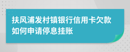 扶风浦发村镇银行信用卡欠款如何申请停息挂账