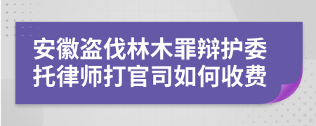 安徽盗伐林木罪辩护委托律师打官司如何收费