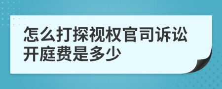 怎么打探视权官司诉讼开庭费是多少