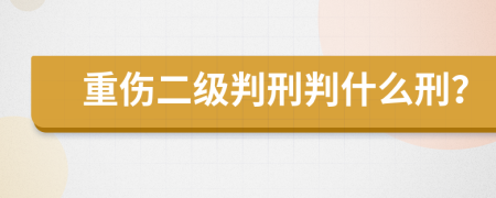 重伤二级判刑判什么刑？