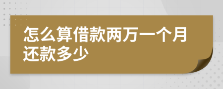 怎么算借款两万一个月还款多少