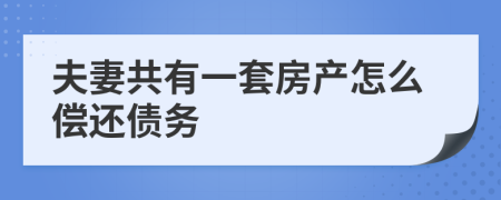 夫妻共有一套房产怎么偿还债务