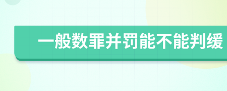 一般数罪并罚能不能判缓