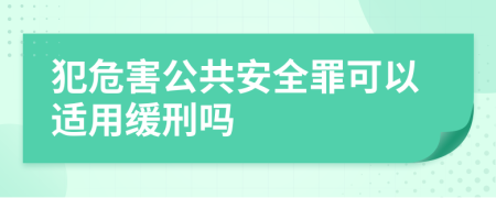 犯危害公共安全罪可以适用缓刑吗