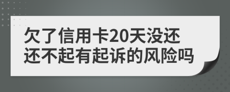 欠了信用卡20天没还还不起有起诉的风险吗