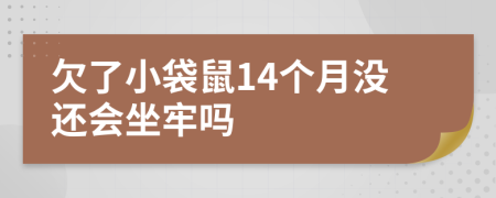 欠了小袋鼠14个月没还会坐牢吗