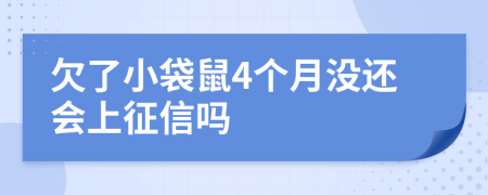 欠了小袋鼠4个月没还会上征信吗