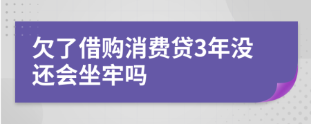 欠了借购消费贷3年没还会坐牢吗