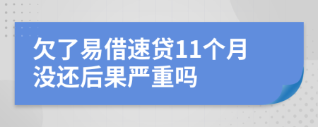 欠了易借速贷11个月没还后果严重吗