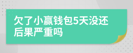 欠了小赢钱包5天没还后果严重吗